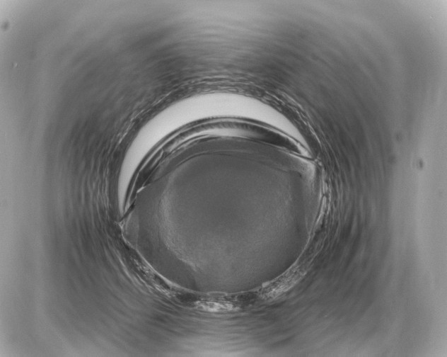 X0000087620512200705120021