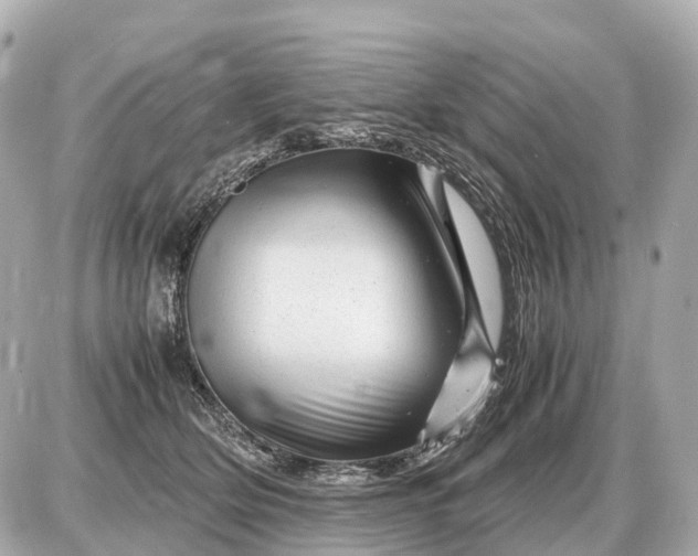 X0000087620514200705120021