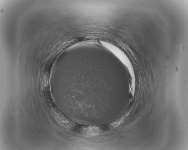 X0000087620517200705120021