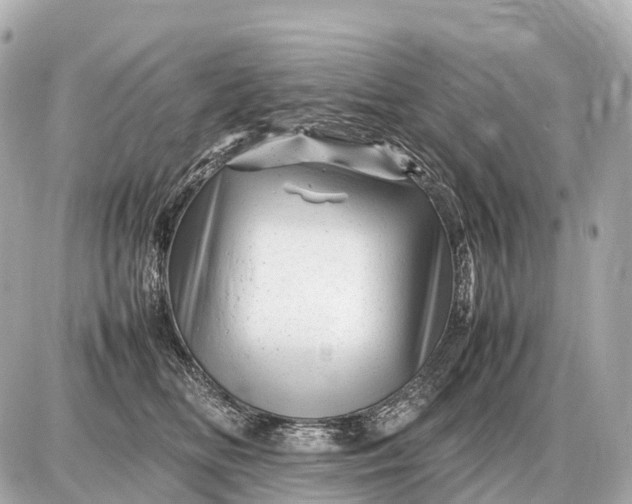 X0000087620518200705120021