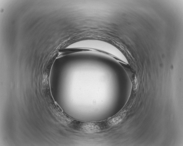X0000087620521200705120021