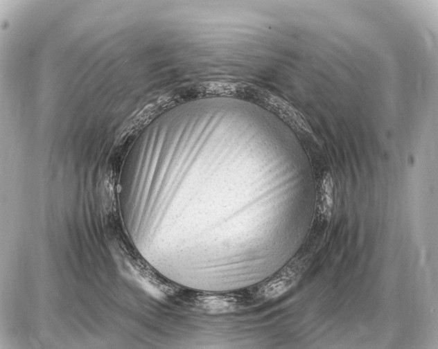 X0000087620522200705120021