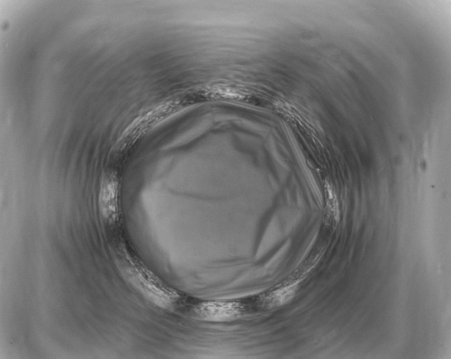 X0000087620526200705120021