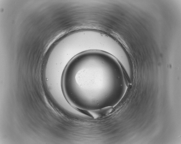 X0000087620534200705120021