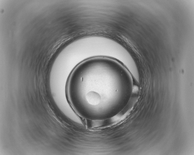 X0000087620548200705120021
