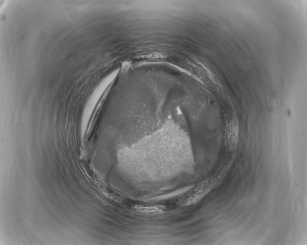 X0000087620553200705120021