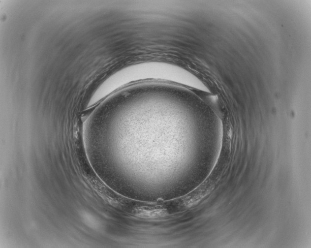 X0000087620555200705120021