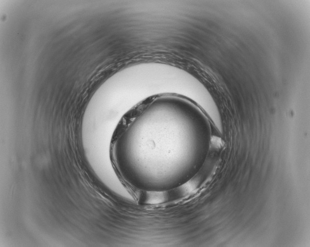 X0000087620558200705120021