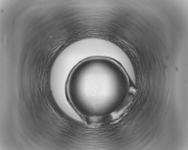 X0000087620560200705120021