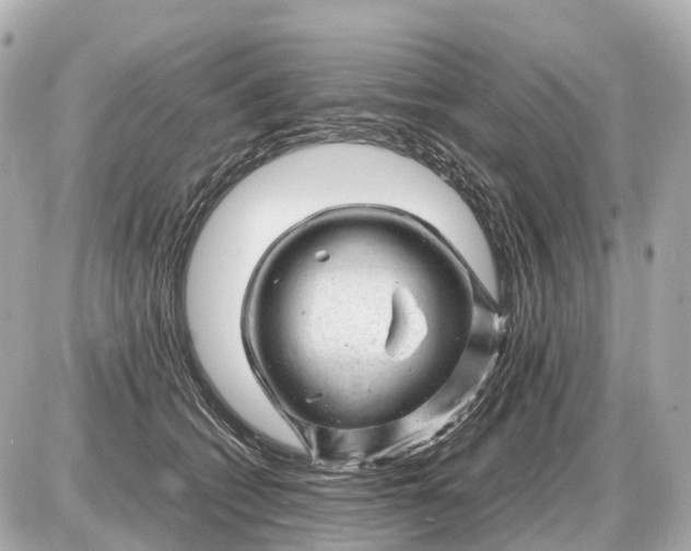 X0000087620562200705120021