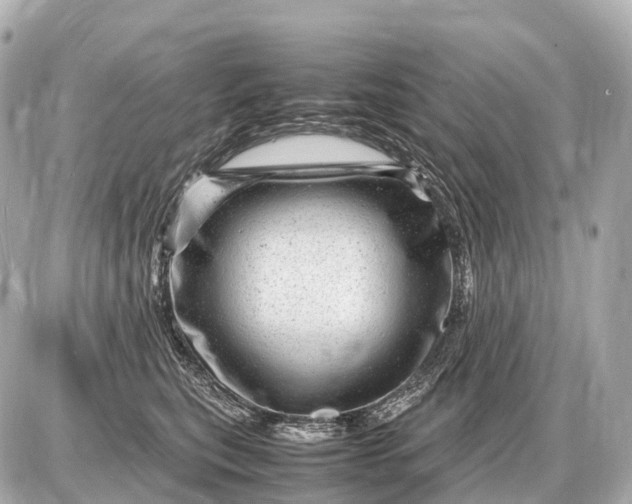 X0000087620567200705120021