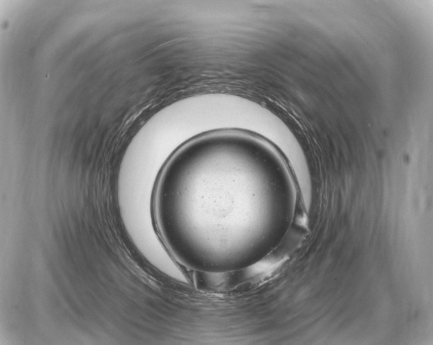 X0000087620572200705120021
