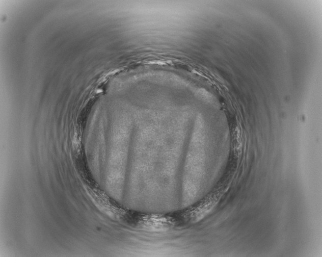X0000087620607200705120020