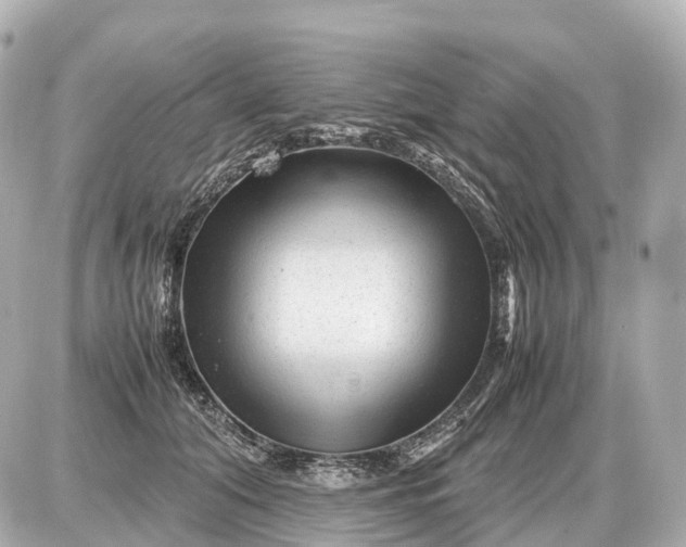 X0000087620608200705120020