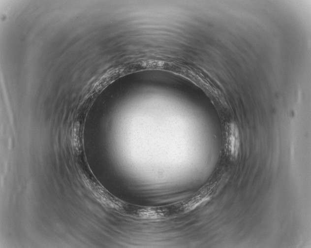 X0000087620616200705120020