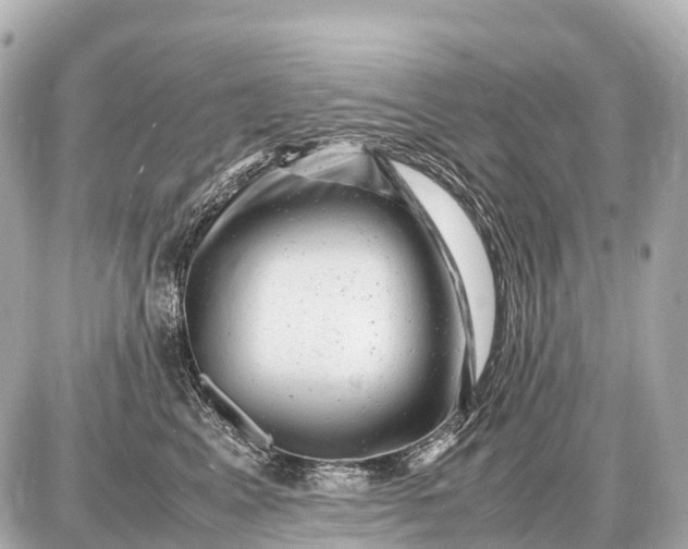 X0000087620617200705120020
