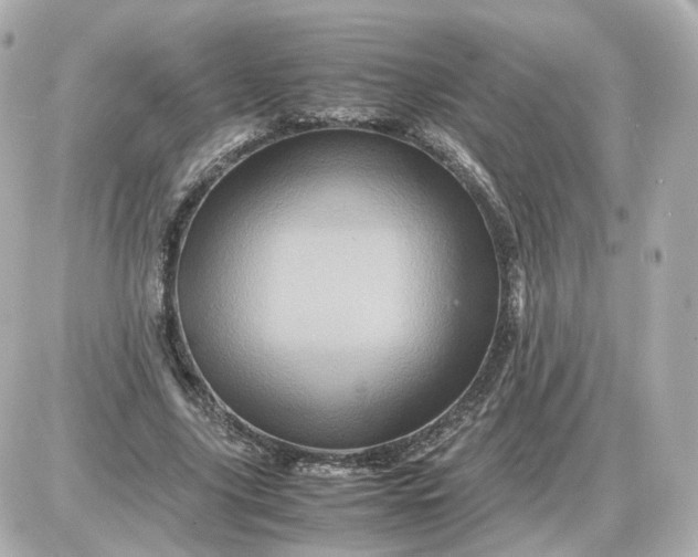 X0000087620635200705120019