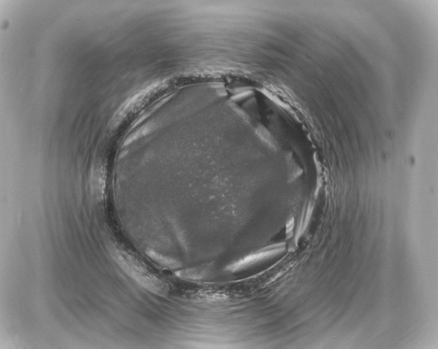 X0000087620640200705120019