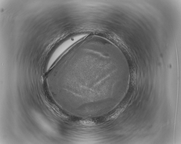 X0000087620644200705120019