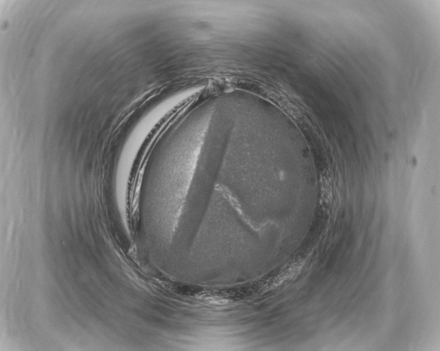 X0000087620648200705120019