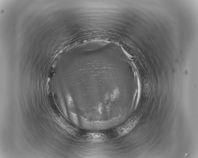 X0000087620654200705120019