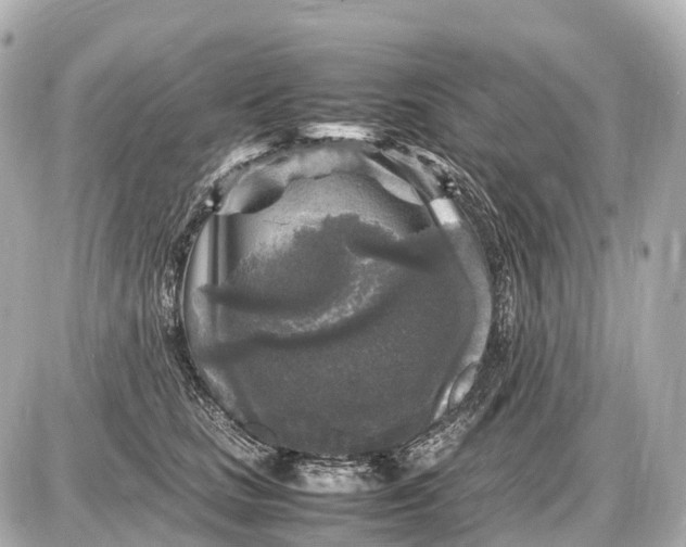 X0000087620661200705120019