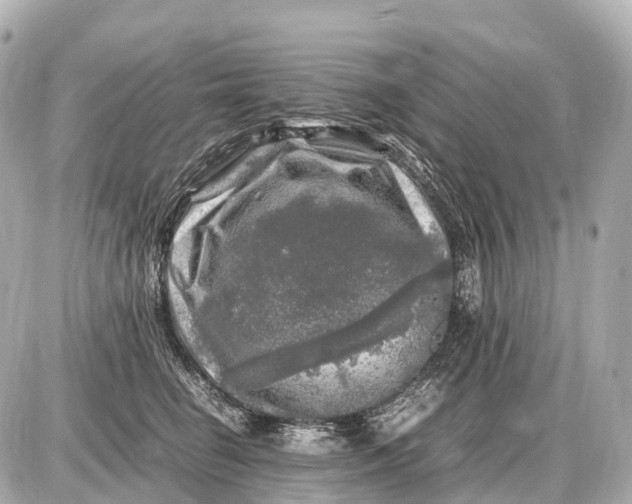 X0000087620662200705120019