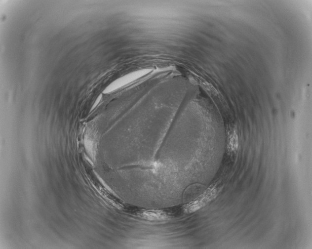 X0000087620666200705120020