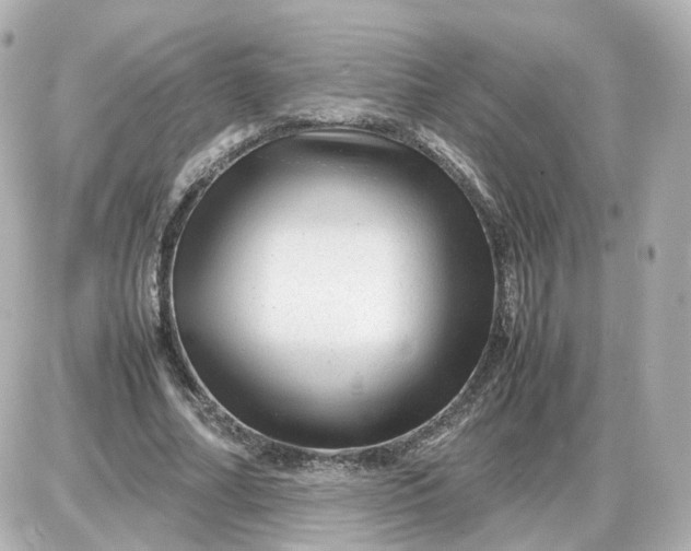 X0000087620682200705120019