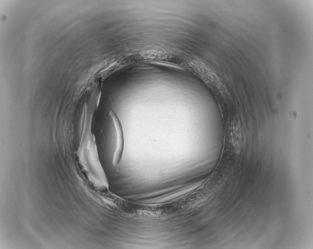 X0000087620690200705120019