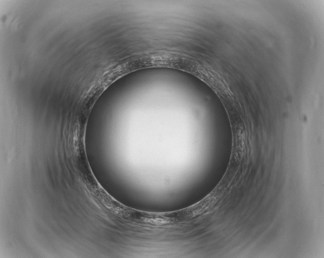 X0000087620698200705120018