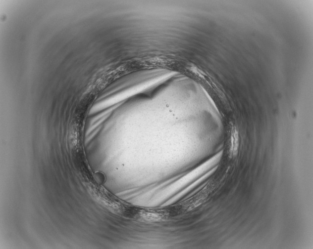 X0000087620706200705120018