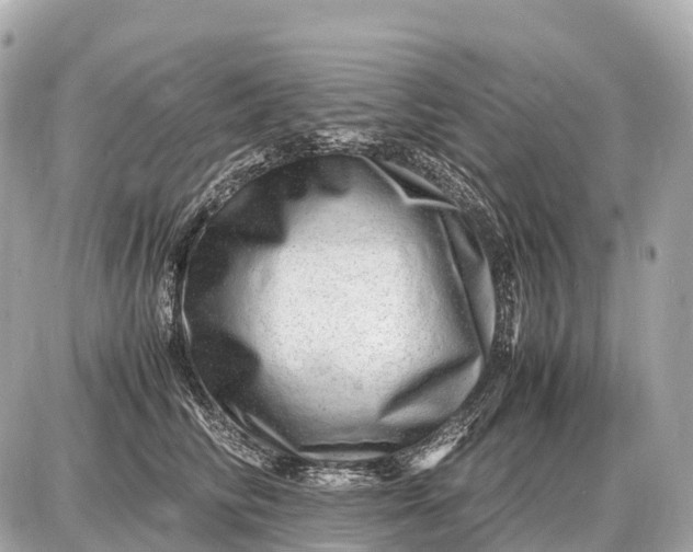 X0000087620710200705120018