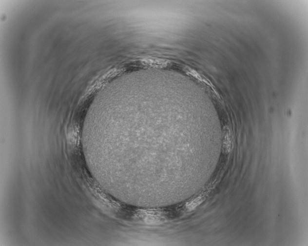X0000087620713200705120018