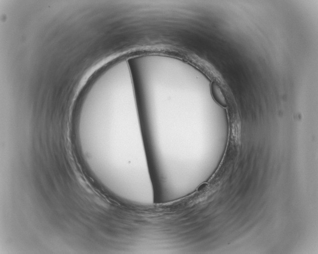 X0000087620724200705120017