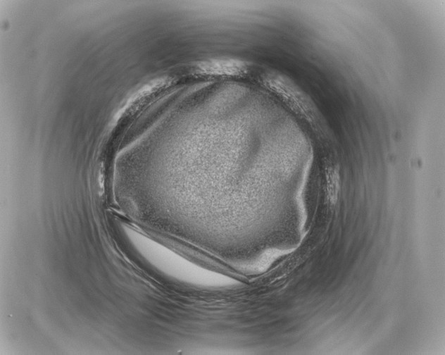 X0000087620731200705120017