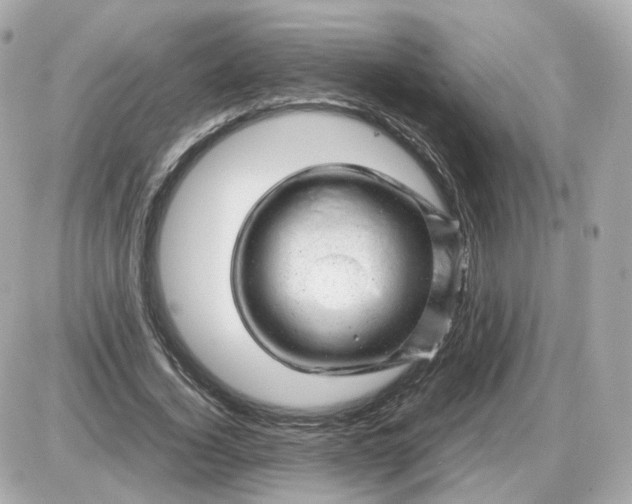 X0000087620732200705120018