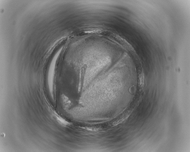 X0000087620733200705120018