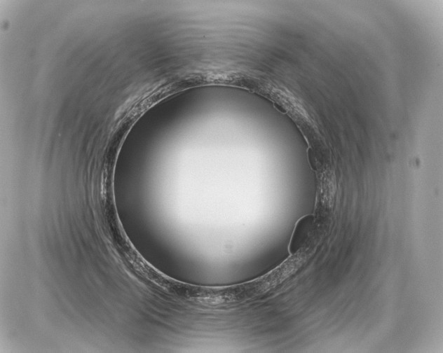 X0000087620740200705120018