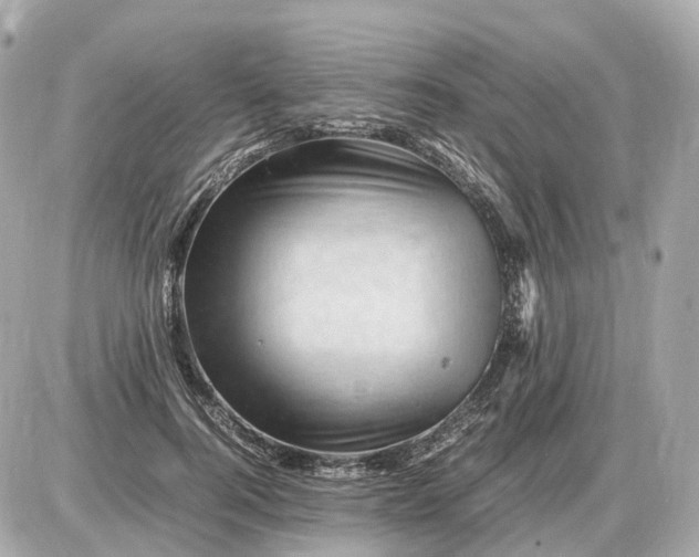 X0000087620744200705120018