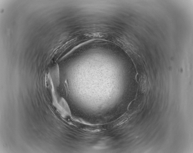 X0000087620747200705120018