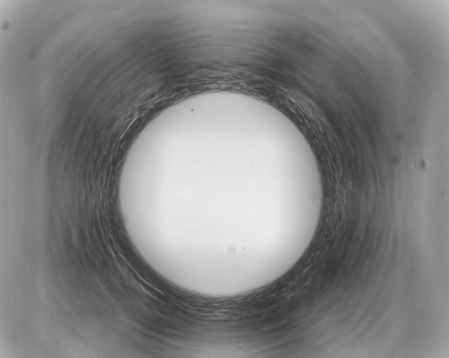 X0000087620752200705120018