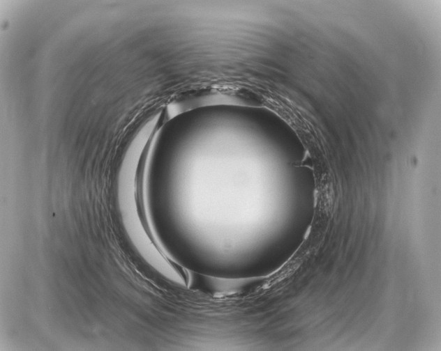X0000087620756200705120018