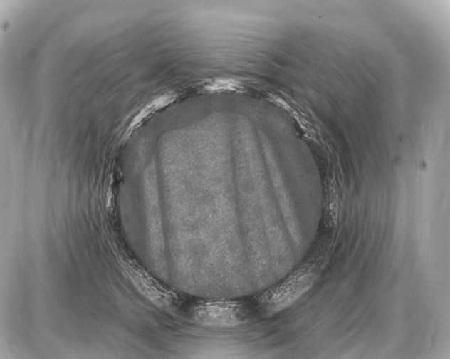 X0000087620758200705120018