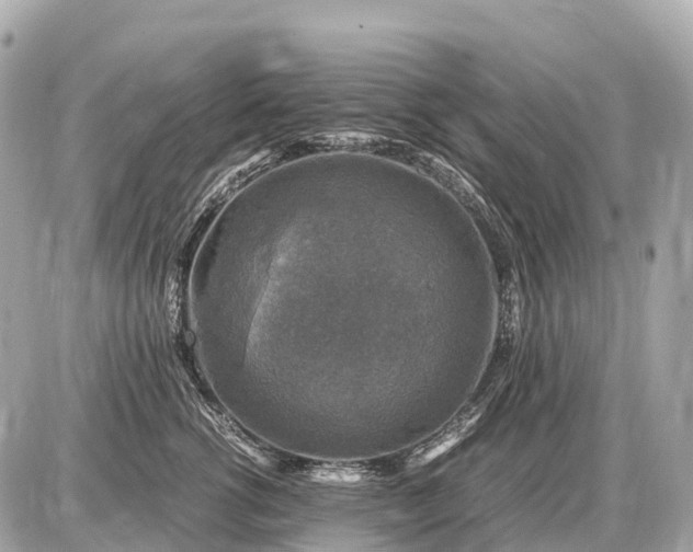 X0000087620762200705120018