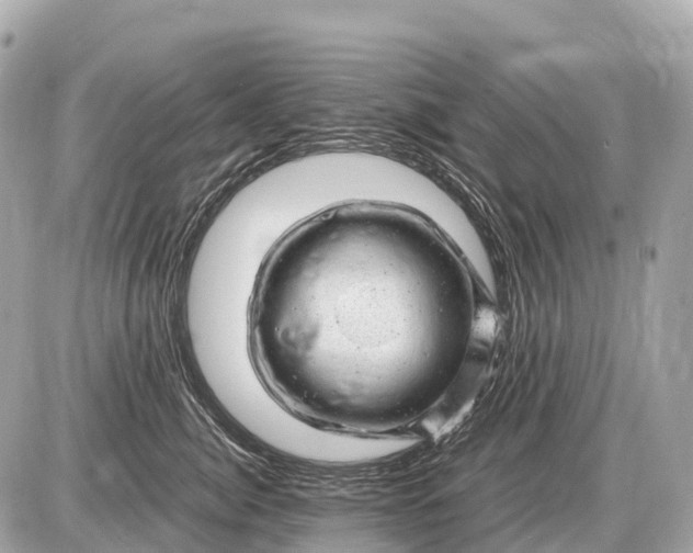 X0000087620764200705120018