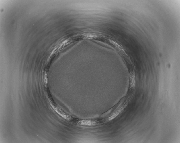 X0000087620766200705120018