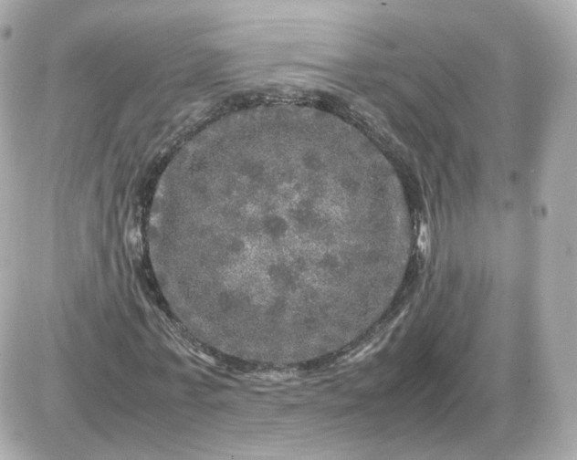 X0000087620771200705120017