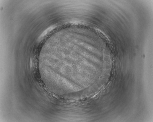X0000087620776200705120017