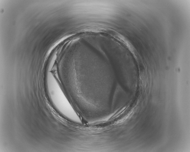 X0000087620779200705120017